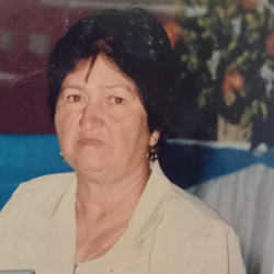 Lúcia de Almeida Silva