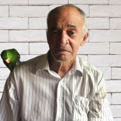 Francisco Baptista Leite