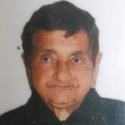 Adélia da Silveira Santos