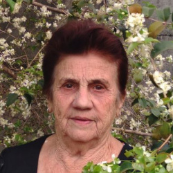 Teresinha de Abreu Pereira