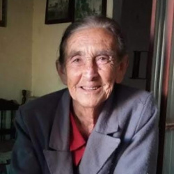 Maria de Lourdes Máximo