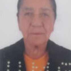 Maria Avelina Neta Moreira