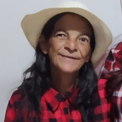 Roseli Andrea Luis Alves