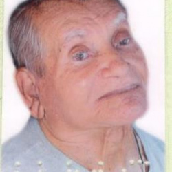 Vicente José de  Sousa